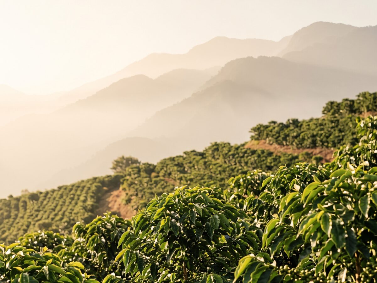 Huehuetenango
